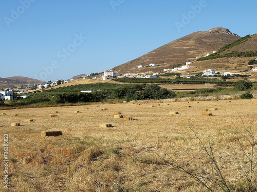 Fototapeta Les meules de foin