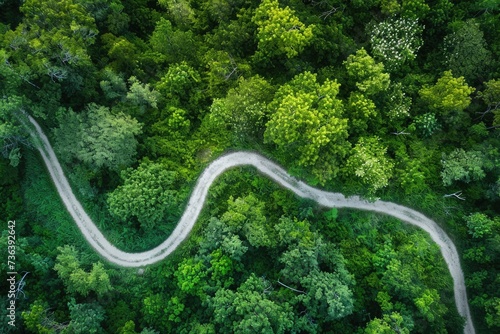 A winding road cuts through a lush forest, creating a picturesque scene in the midst of nature, An aerial shot of a long, winding running trail, AI Generated