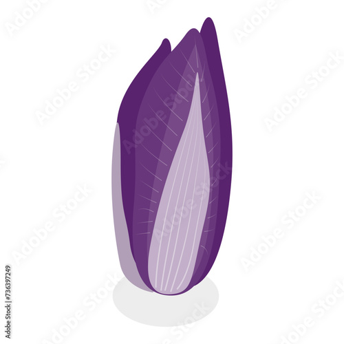 3D Isometric Flat Vector Set of Salad Greens, Leafy Vegetables. Item 4