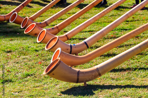 Alphorns laying on the grass on the alpine meadow photo