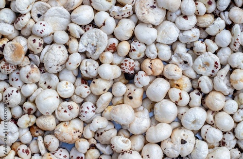 Top View of Makhana or Fox Nut Background with Copy Space, Also Known as Lotus Seed Pop, Euryale Ferox or Gorgon Nut photo