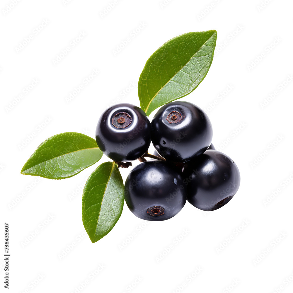 Natural and fresh acai berries isolated on white background Natural and fresh acai berries isolated on white background
