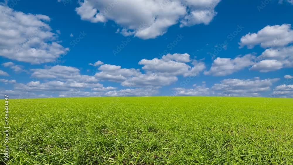 green wheat field panorama time lapse scene green wheat field panorama time lapse scene
