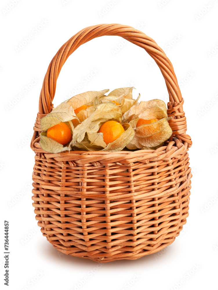 physalis basket path isolated on white