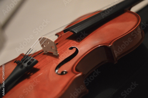 wooden classical violin