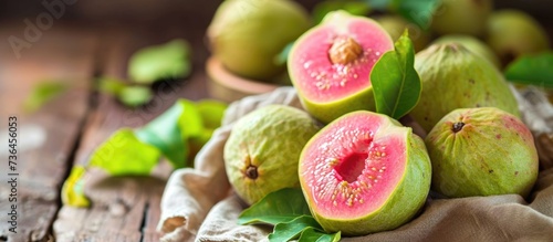 Protect guava fruit with a cloth bag to avoid pests and anticipate fruit fly attacks. photo