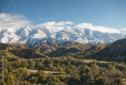 The San Bernardino Mountains