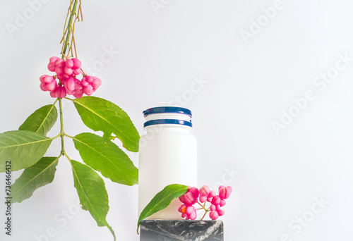 Medicinal oil in a jar with herbs. Kopi space, warty euonymus, homeopathy useful berry, poisonous plant with red berries. Branch with berries. decorative tree