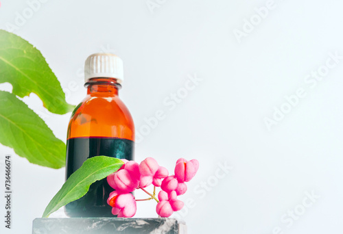 Close-up, Medical medicine in a jar of tincture herbs. Euonymus warty, homeopathic berry useful, poisonous plant with red berries. Decorative medical tree