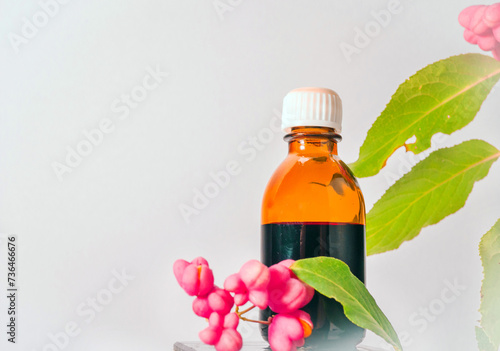 Close-up, Medical medicine in a jar of herbs. Euonymus warty, homeopathic berry useful, poisonous plant with red berries. Decorative medical tree
