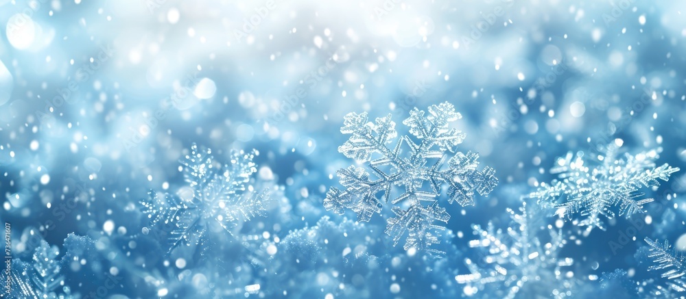 Winter background featuring real snowflakes in cold blue tones.
