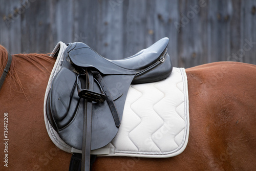 black leather saddle on the back of a horse against the background of a wooden stable. equestrian background. saddle pad, stirrups, padlock