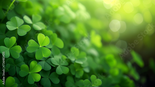 Backdrop for St. Patrick's Day. Clover wallpaper in soft backlight with blur and bokeh. Horizontal format. Postcard.