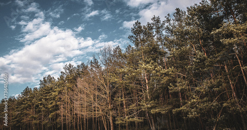 Fototapeta Naklejka Na Ścianę i Meble -  45435