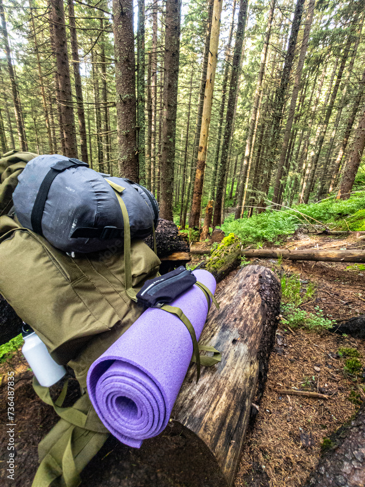A tourist's backpack lies near a tree