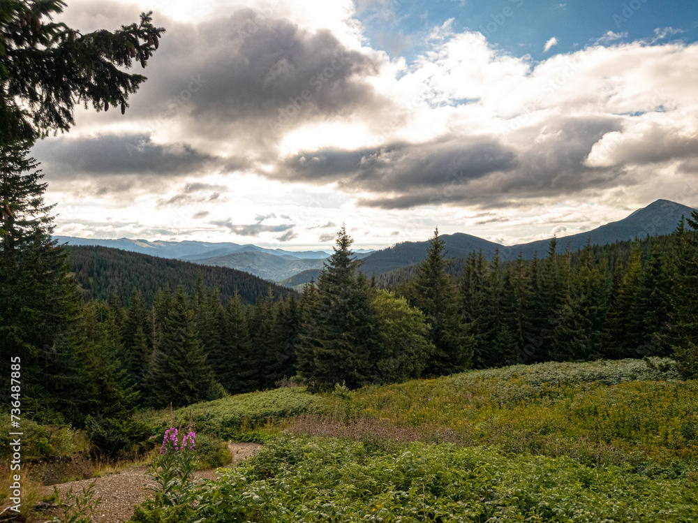 Dense vegetation covering hills and mountains