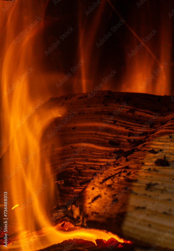 Close-up of burning log particles