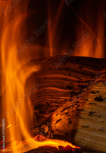 Obraz na płótnie Close-up of burning log particles w salonie