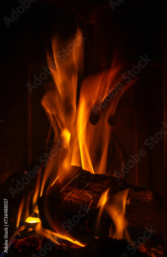 Obraz na płótnie Lit fire in the fireplace w salonie