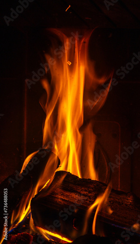 Obraz na płótnie Close-up of burning logs w salonie