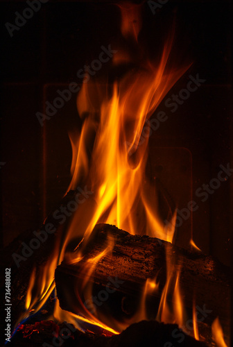 Obraz na płótnie Burning logs piled into a hearth w salonie