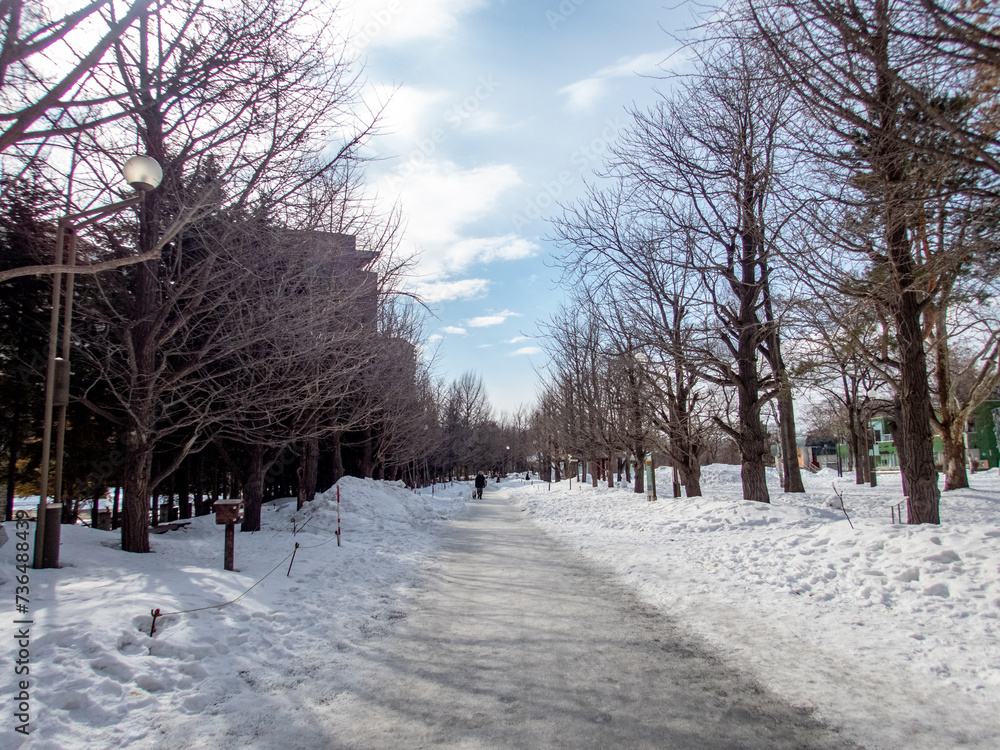 Naklejka premium 初春の中島公園（北海道札幌市中央区）