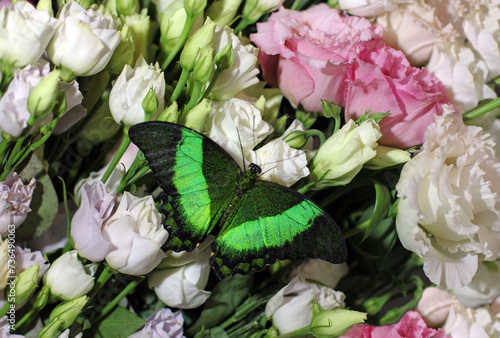 Butterfly Papilio palinurus on a bouquet of flowers. Holiday concept.