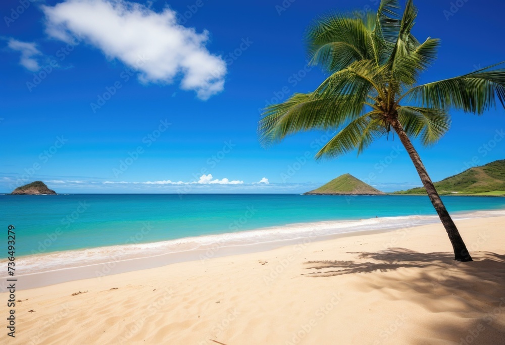 A palm tree on a sandy beach with blue water. Generative AI. A palm tree on a sandy beach with blue water. Generative AI.