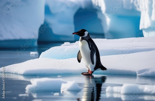 World Penguin Day, an adult lone penguin on a drifting ice floe, an iceberg in the ocean, the far north, the kingdom of ice and snow, a snowy shore