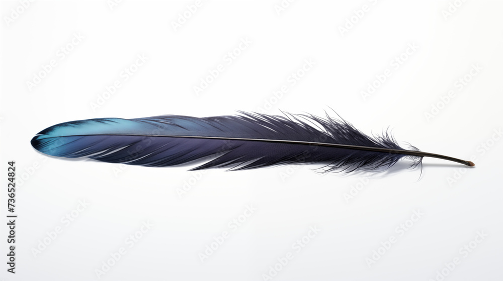 Artistic Illustration of a Delicate Blue and Black Feather
