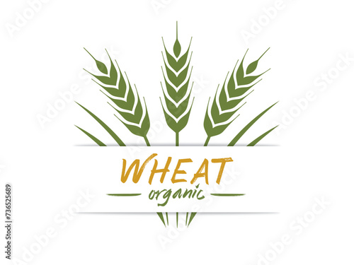 Agricultural Wheat Logo Vector Template Symbol Design