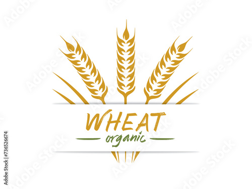 Agricultural Wheat Logo Vector Template Symbol Design