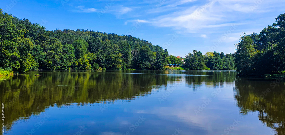 Fototapeta premium reflection of trees in lake