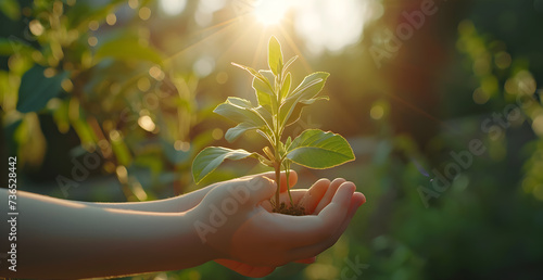 hand children holding young plant with sunlight on green nature background
