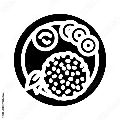 khao pad thai cuisine glyph icon vector illustration