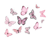 set of butterflies pink pastel colors