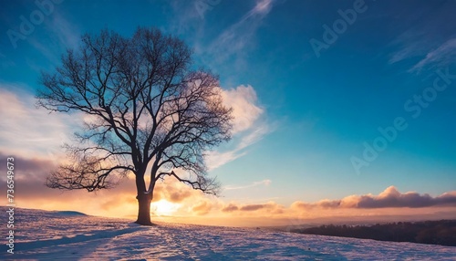 beautiful landscape silhouette of a tree and sunset sky cold season © Richard