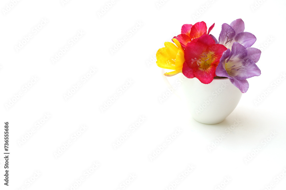 小さな花瓶に挿したフリージア 小さな花瓶に挿したフリージア