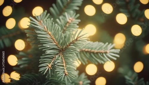 A close-up of pine tree branches with blurred warm yellow lights in the background