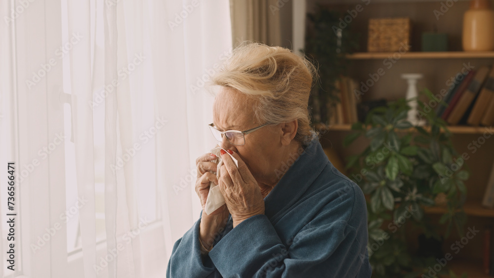 Senior woman blowing her nose indoors - obrazy, fototapety, plakaty 