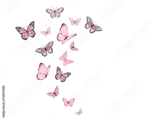 butterflies on white