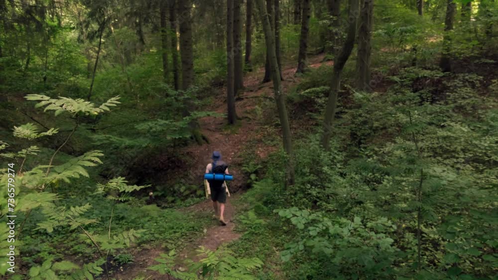 Alone Tourist with backpack Walk on Adventure Trip in Natural Landscape in Hike. Wide shot slow motion following Walking Person on trail in forest. Adventure Inspiring travel with Hiking equipment Alone Tourist with backpack Walk on Adventure Trip in Natural Landscape in Hike. Wide shot slow motion following Walking Person on trail in forest. Adventure Inspiring travel with Hiking equipment