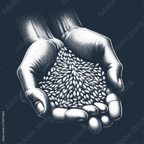 Hands Holding Grain. Vintage stipple engraving style vector illustration on dark background.