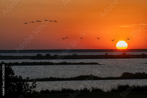 Sonnenuntergang über See mit Gänsen und Enten