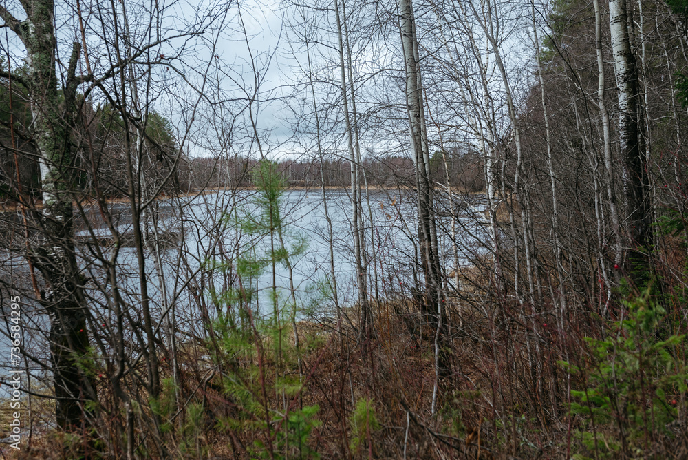 Late autumn. A forest pond covered with a crust of ice. Late autumn. A forest pond covered with a crust of ice.