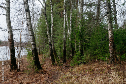 Late autumn on the forest lake.