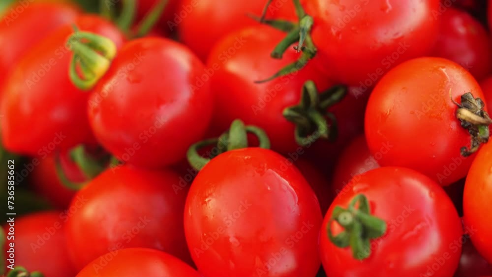 Pile of vibrant wet red Cherry tomato with green stems. Close up macro shot Pile of vibrant wet red Cherry tomato with green stems. Close up macro shot