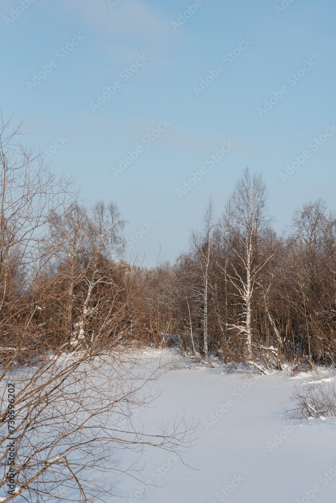 Winter expanses on a frosty sunny day. Winter expanses on a frosty sunny day.