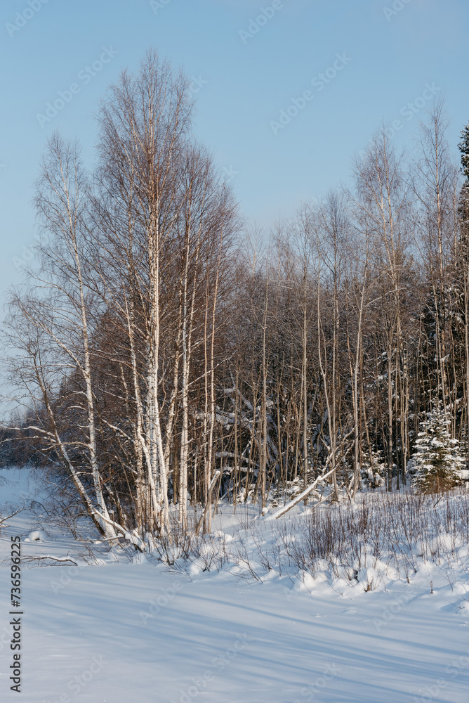 Winter expanses on a frosty sunny day. Winter expanses on a frosty sunny day.