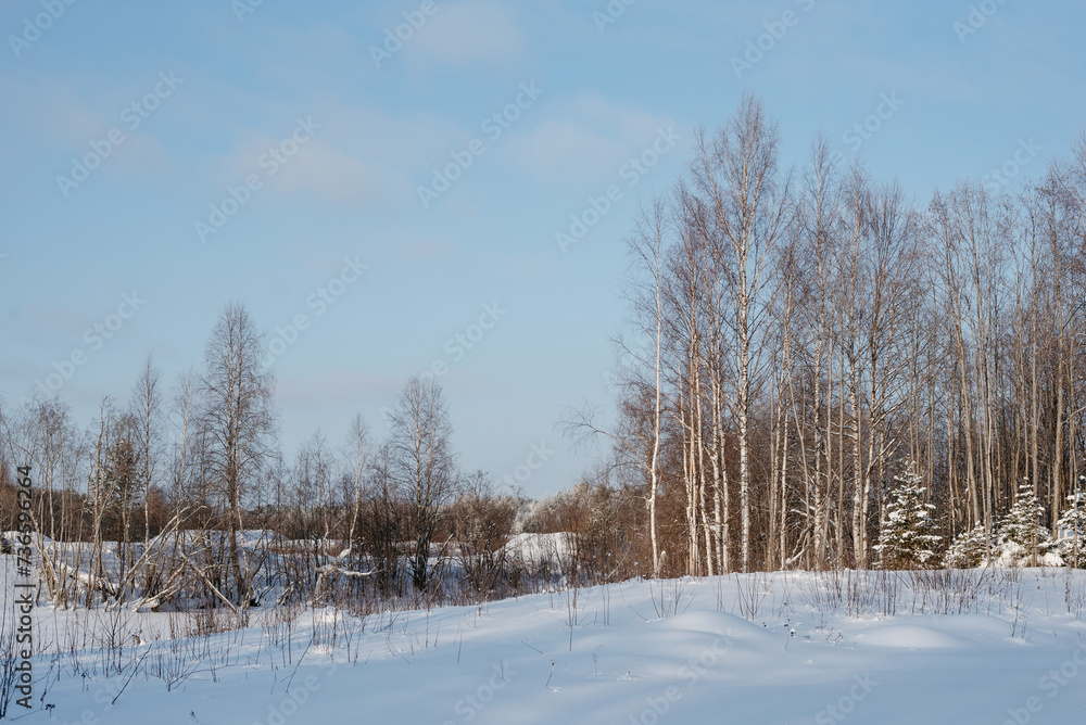 Winter expanses on a frosty sunny day.